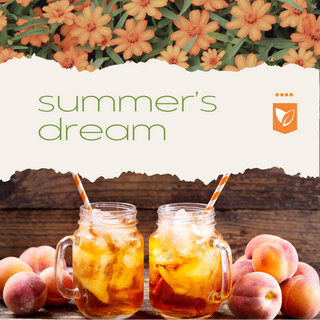 Summer's Dream